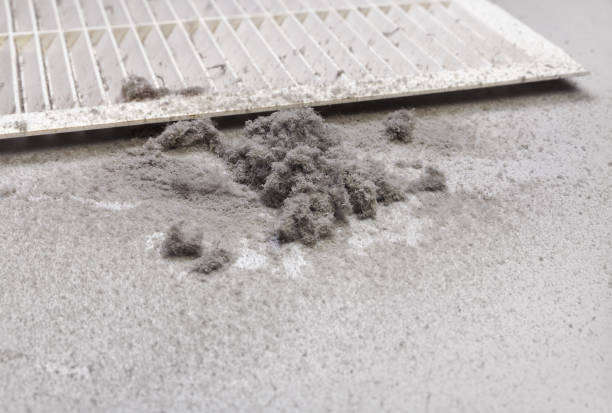 Best Affordable HVAC Duct Cleaning  in Kenmore, WA