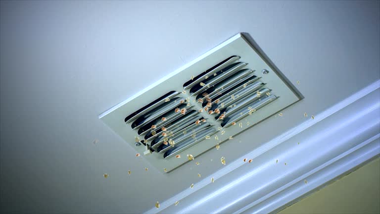 Best HVAC Duct Inspection Services  in Kenmore, WA