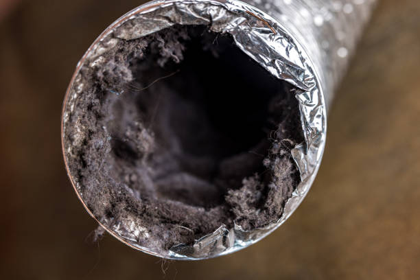 Best Professional Duct Cleaning Services  in Kenmore, WA