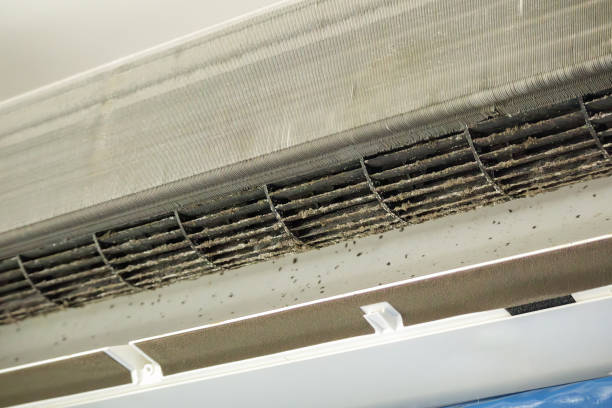 Best Air Duct Cleaning Company Near Me  in Kenmore, WA